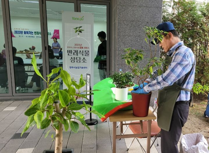 양주시, '반려 식물 상담소' 운영 *재판매 및 DB 금지