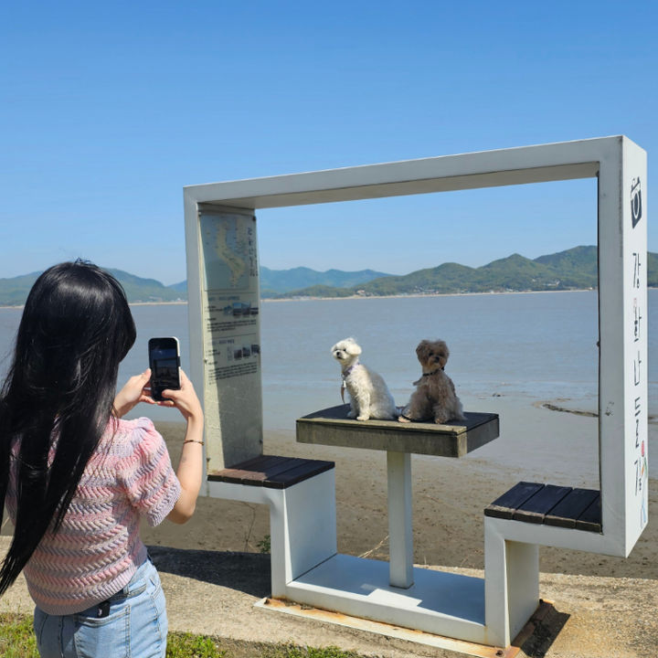 댕댕이와 강화도 나들이(석모도). (사진=펫츠고 홈페이지) photo@newsis.com *재판매 및 DB 금지