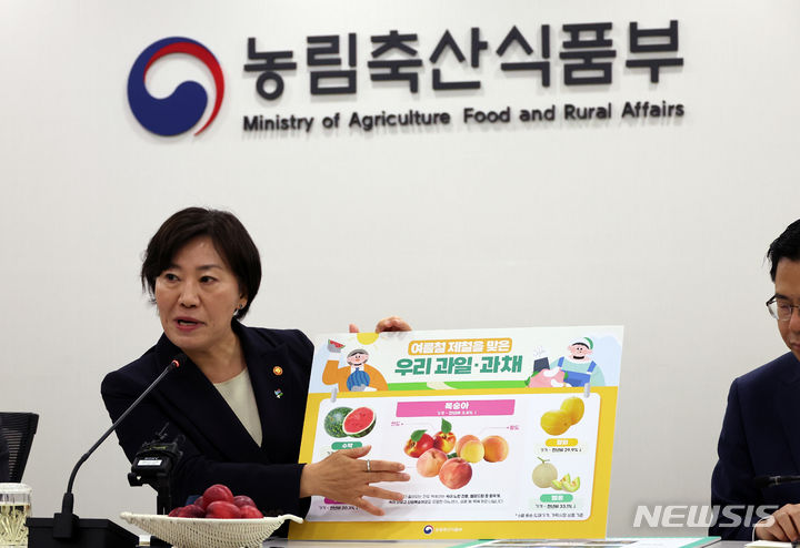 [세종=뉴시스] 강종민 기자 = 송미령 농림축산식품부 장관이 19일 세종시 정부세종청사에서 열린 출입기자단 정례 간담회에서 여름철 과일 가격 동향을 설명하고 있다. 2024.06.19. ppkjm@newsis.com