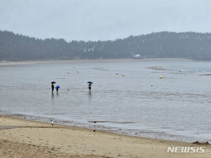 충남권 대체로 흐린 가운데 낮부터 비…아침 안개 주의