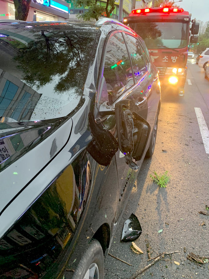 [광주=뉴시스] 지난 22일 오후 광주 서구 쌍촌동의 가로수가 비로 인해 쓰러지면서 차량 2대가 파손됐다. 소방당국이 안전조치 하고 있다. (사진=독자제공). photo@newsis.com *재판매 및 DB 금지
