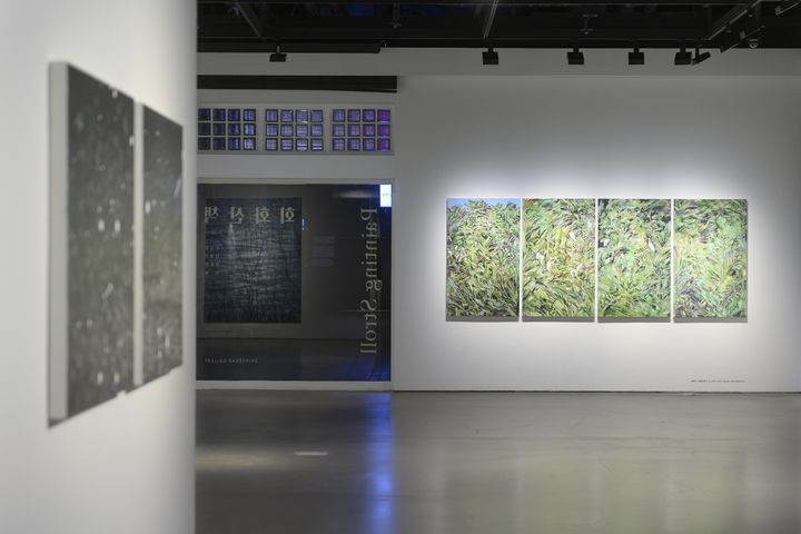 [대구=뉴시스] 대구 신세계백화점 8층 신세계갤러리에서 오는 29일까지 강유정, 김재유, 신준민, 장미 등 작가 4인의 '회화 산책 Painting Stroll' 전시가 개최된다. (사진 = 대구 신세계갤러리 제공) 2024.06.24. photo@newsis.com *재판매 및 DB 금지