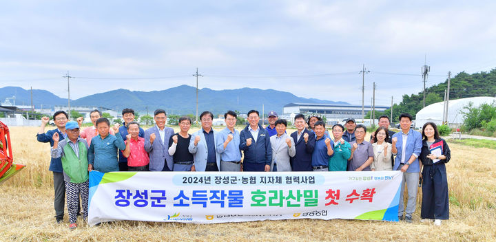 [장성=뉴시스] 장성군과 황룡농협이 협력사업으로 추진한 '호라산밀 생산 시범사업'이 올해 첫 수확의 기쁨으로 이어졌다. (사진=장성군 제공) 2024.06.24. photo@newsis.com *재판매 및 DB 금지