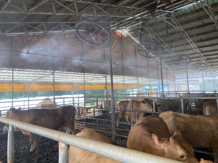 [안동=뉴시스] 축사 내부 더위를 식히기 위한 안개분무시설과 환풍팬. (사진=뉴시스 DB) 2025.08.30 *재판매 및 DB 금지