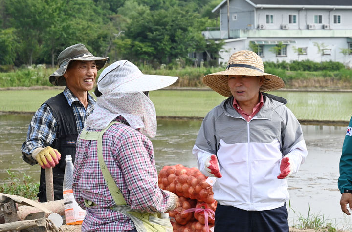 [창녕=뉴시스] 성낙인 군수가 양파수확 농촌일손돕기를 하고 있다. (사진=창녕군 제공) 2024.06.25. photo@newsis.com *재판매 및 DB 금지