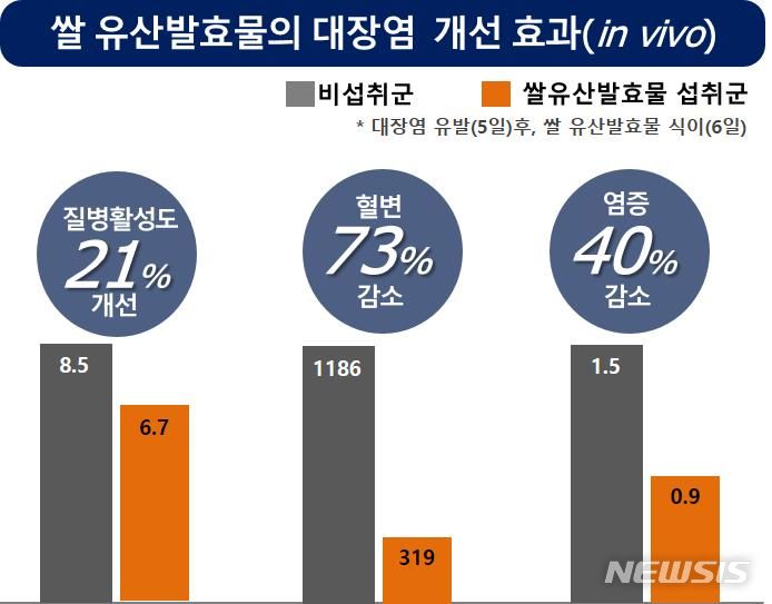 [세종=뉴시스]농진청 연구진은 대장 염증을 유발한 실험 쥐에 쌀 유산발효물을 6일간 먹였을 때 질병활성도(DAI)가 21% 개선되고 혈변이 73% 감소했으며 염증성인자(IL-6)도 40% 감소해 대장염 개선에 효과가 있음을 확인했다.(인포그래픽=농진청 제공)