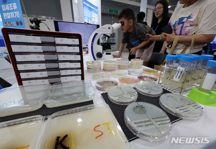 [청주소식]'보은 왕버들' 산림청 올해의 나무에 선정 등