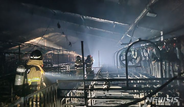 [괴산=뉴시스] 서주영 기자 = 지난 26일 오후 충북 괴산군 청안면 한 돈사에서 불이나 7억9000만원의 재산피해가 발생했다. (사진= 괴산소방서 제공) 2024.06.27. photo@newsis.com *재판매 및 DB 금지