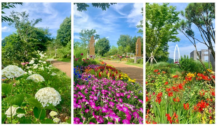 여름꽃이 만발해 관광객을 유혹하는 임실 옥정호 붕어섬생태공원의 풍경. *재판매 및 DB 금지