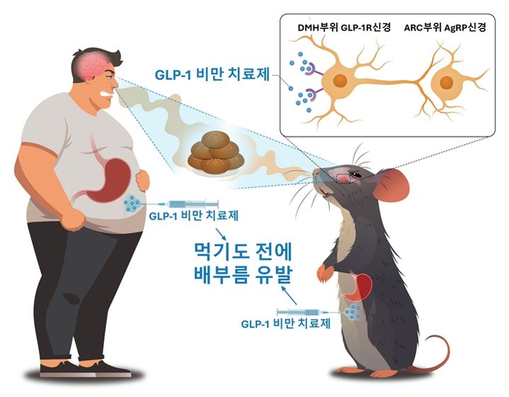 보기만 해도 배 불러