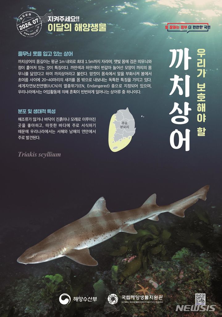 [서울=뉴시스] 7월 해양생물. 