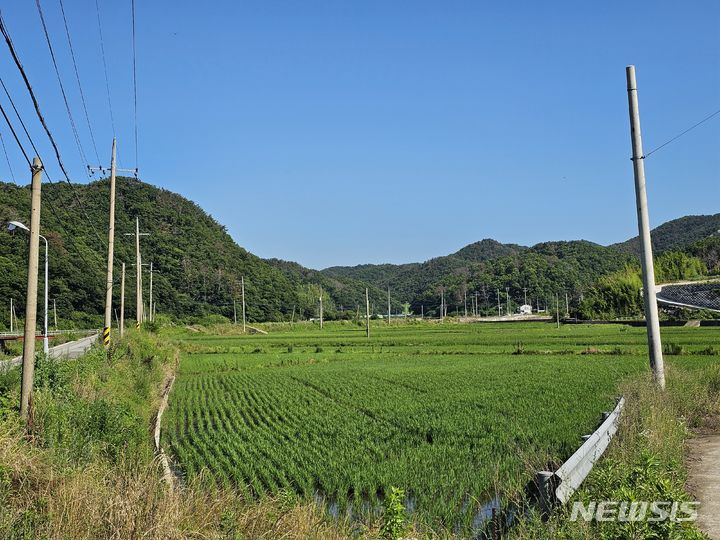 [포항=뉴시스] 송종욱 기자 = 포항 추모공원을 유치한 경북 포항시 남구 구룡포읍 눌태리 뒷산 전경. 2024. 07.01 sjw@newsis.com 