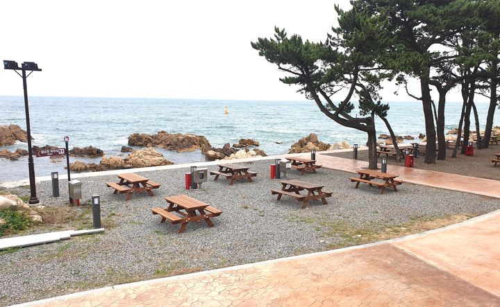 "울산 주전 보밑항 놀러오세요, 피크닉장 열었어요"
