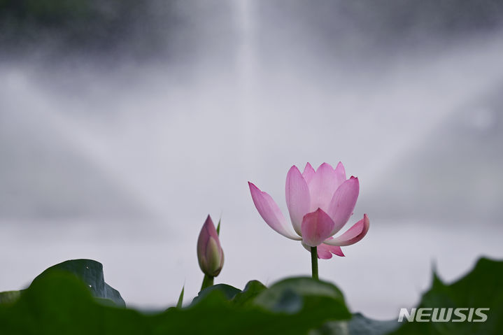 광주·전남 구름많음…동부권 최대 10㎜ 비소식도
