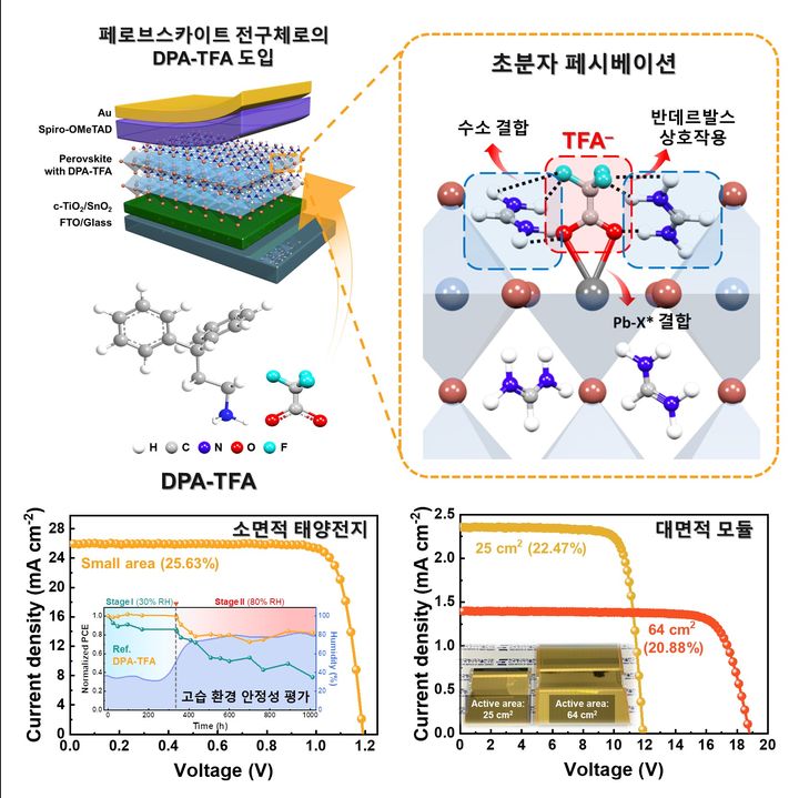 [서울=뉴시스] (위) DPA-TFA 도입 및 초분자 페시베이션 모식도. (아래) 소면적 태양전지 및 대면적 모듈 전류밀도-전압 그래프.] (사진=한양대 제공) *재판매 및 DB 금지