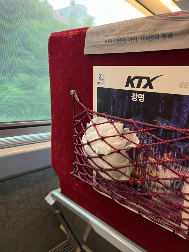 KTX 좌석 뒤 그물망에 한 승객이 아이가 용변을 본 기저귀를 꽂아두고 간 모습. (사진=온라인 커뮤니티 캡처) *재판매 및 DB 금지