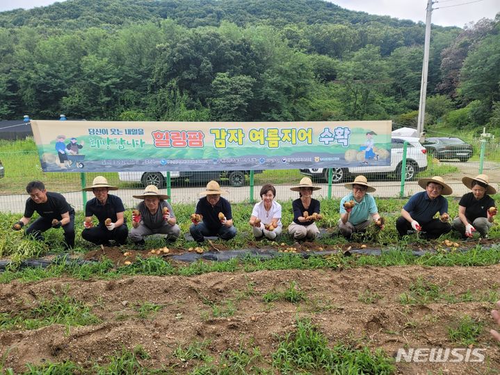 [안양=뉴시스] 감자 수확 현장. (사진=안양 범피 센터 제공).