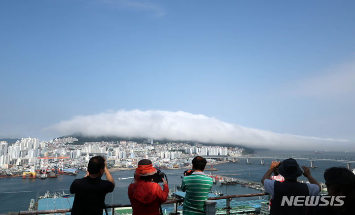 [부산=뉴시스] 하경민 기자 = 부산지역에 폭염주의보가 발효 중인 4일 부산 영도구 봉래산이 짙은 해무로 뒤덮여 장관을 연출하고 있다. 2024.07.04. yulnetphoto@newsis.com