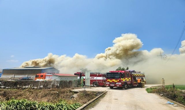 [예산=뉴시스] 지난 4일 오후 12시50분께 충남 예산군 오가면 신장리의 한 돼지농장에서 불이 나 연기가 발생하고 있다. (사진=충남소방본부 제공) 2024.07.05.  *재판매 및 DB 금지