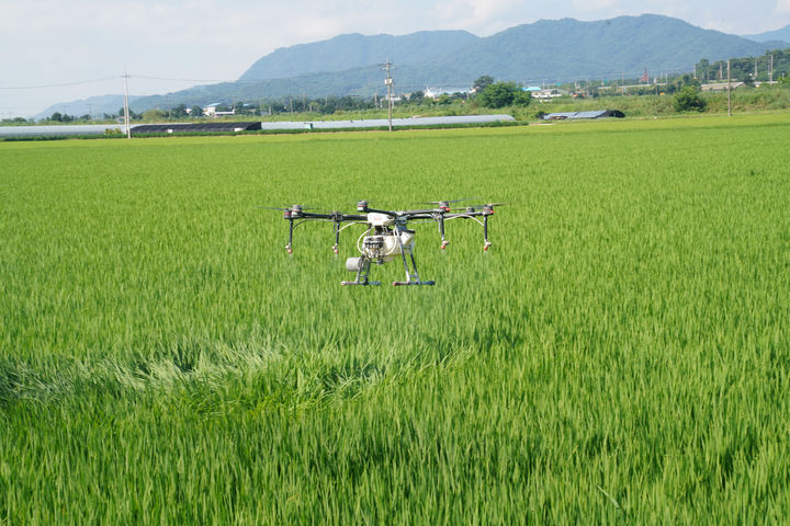[안동=뉴시스] 드론을 이용해 논밭의 방제작업을 시행하는 모습. (사진=뉴시스 DB). photo@newsis.com *재판매 및 DB 금지