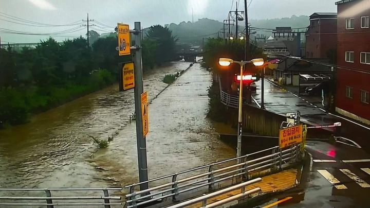 [세종=뉴시스] 7일 오전 세종시 조치원읍 인근 하천 전경.(사진=세종시). 2024.07.07. *재판매 및 DB 금지