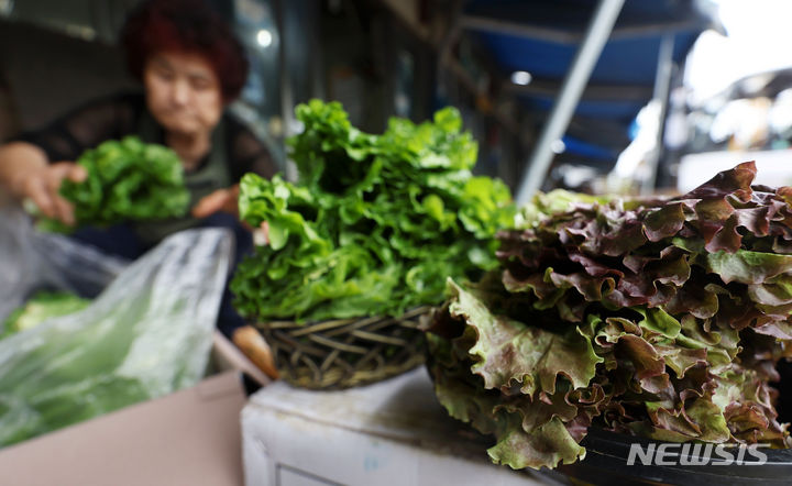 [서울=뉴시스] 홍효식 기자 = 사진은 지난해 7월 7일 서울 송파구 가락시장에 배추 등 채소가 판매되고 있는 모습. 2024.07.07. yesphoto@newsis.com