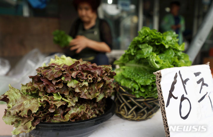 [서울=뉴시스] 홍효식 기자 = 사진은 지난해 7월 7일 서울 송파구 가락시장에 배추 등 채소가 판매되고 있는 모습. 2024.07.07. yesphoto@newsis.com