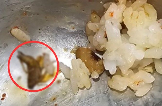 [서울=뉴시스] 한 백화점 푸드코트에서 밥을 먹다가 바퀴벌레가 나왔다는 사연이 알려졌다(사진= '아프니까 사장이다' 갈무리) *재판매 및 DB 금지