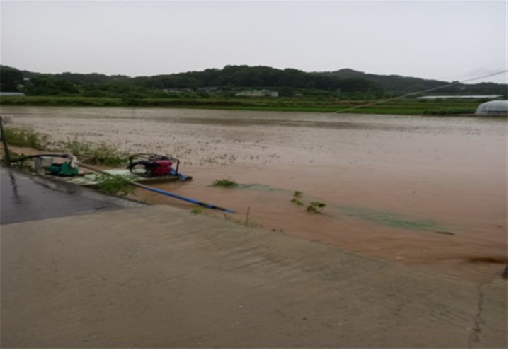 [안동=뉴시스] 8일 내린 오후로 침수된 예천군 풍양면 논.  (사진=경북도 제공) 2024.07.08 *재판매 및 DB 금지