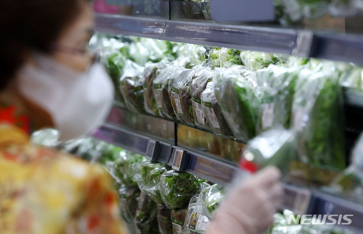 [서울=뉴시스] 전신 기자 = 본격적인 장마철이 시작되면서 채소 가격이 치솟고 있다. 서울 시내 한 대형마트에서 시민들이 채소 판매대 살펴보는 모습. 2024.07.09. photo1006@newsis.com