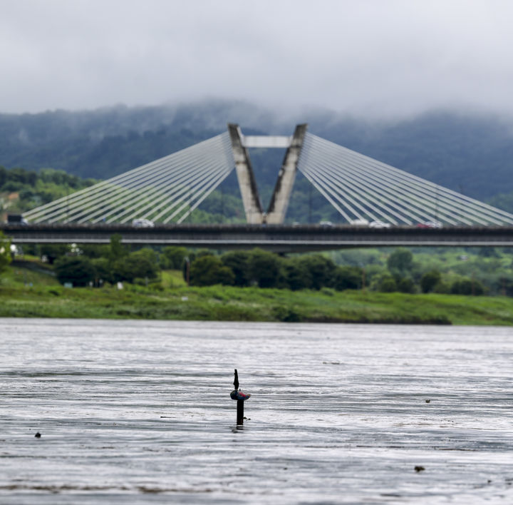 [단독]세종 장곡면 금강변서 백골 상태 머리 발견…경찰 수사