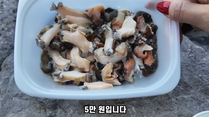 [서울=뉴시스] 제주도 용두암 근처 노상 식당에서 모둠 해산물을 시켰는데 바가지를 썼다는 사연이 알려졌다(사진= 유튜브 갈무리) *재판매 및 DB 금지
