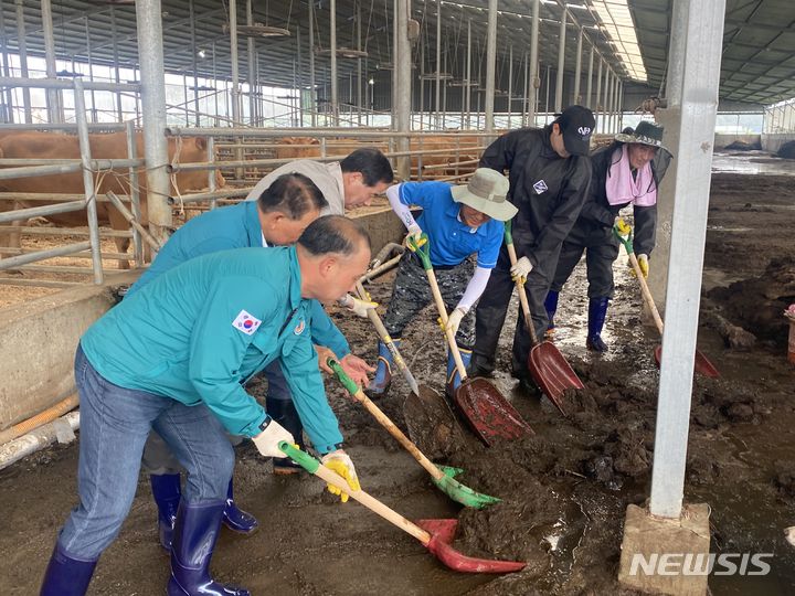 [익산=뉴시스]윤난슬 기자 = 전북농협은 12일 최근 폭우로 인해 피해를 본 익산 지역 축산 농가를 찾아 피해 복구를 위한 일손 돕기 봉사활동을 전개했다고 밝혔다.2024.07.12.(사진=전북농협 제공)