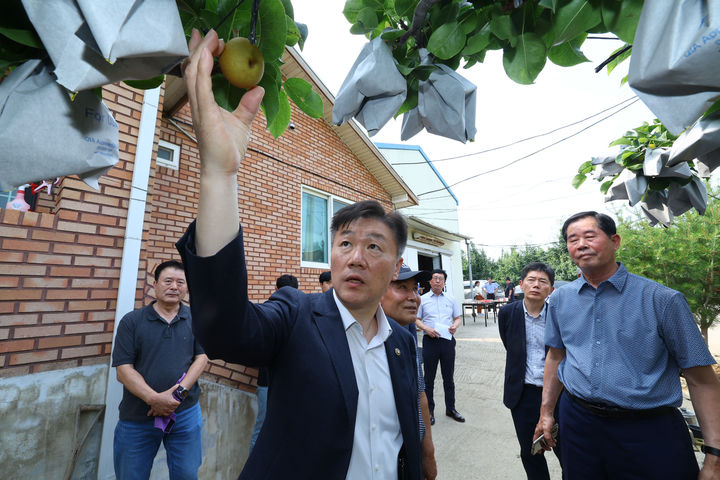 [서울=뉴시스] 박범수 농림축산식품부 차관이 12일 충남 천안시에 위치한 배 재배농가를 방문해 생육 상황 및 재해대응 상황을 점검하고 있다. (사진=농림축산식품부 제공) 2024.07.12. photo@newsis.com *재판매 및 DB 금지