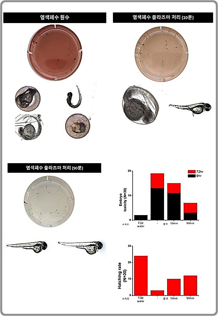 [대전=뉴시스] 염색산업 폐수의 경우 플라즈마 처리시 제브라피쉬 배아독성은 63%에서 20%로 감소하고 부화율은 13%에서 47%로 증가했다.(사진=핵융합연 제공) *재판매 및 DB 금지