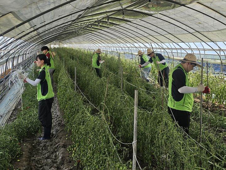 농식품부, 청년인턴 121명 채용…농업행정 참여 확대