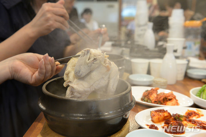 [울산=뉴시스] 배병수 기자 = 본격적인 여름 더위가 찾아온다는 초복인 15일 울산 남구 삼산동의 한 삼계탕 전문점에서 시민들이 삼계탕을 먹고 있다. 2024.07.15. bbs@newsis.com.