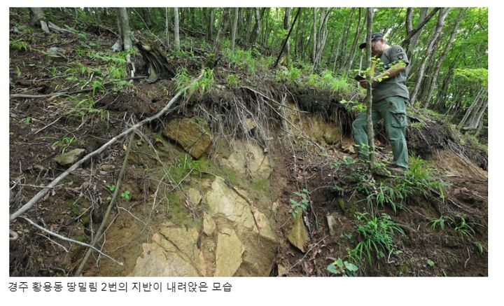 [세종=뉴시스] 경주 토함산 일대에서 진행되고 있는 땅밀림 모습. (사진=녹색연합).  *재판매 및 DB 금지