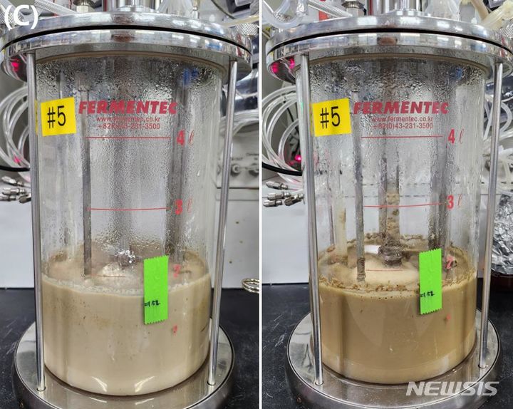 [세종=뉴시스]농촌진흥청은 보릿짚 섬유소를 활용해 미생물의 영양원을 만드는 기술을 개발했다.(사진=농진청 제공)