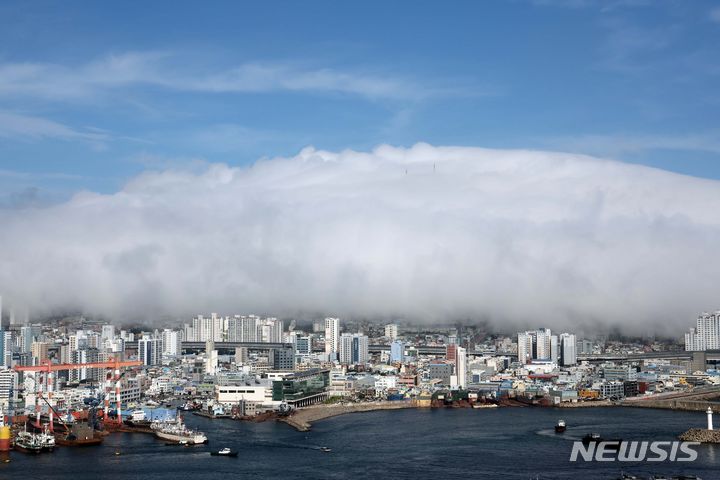 [부산=뉴시스] 하경민 기자 = 부산지역에 장마가 소강상태를 보인 17일 영도구 봉래산이 짙은 해무로 뒤덮여 장관을 연출하고 있다. 2024.07.17. yulnetphoto@newsis.com