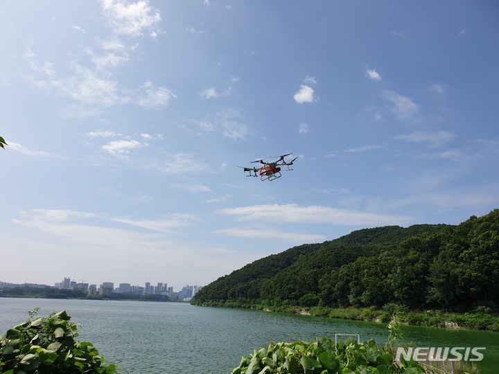 [용인=뉴시스]드론을 활용해 살조제인 마이팅션을 살포하는 모습(용인시 제공)