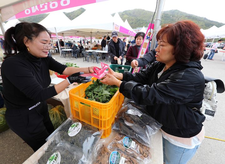 18일 인제군(군수 최상기)은 인제 에누리장터가 오는 20일부터 21일까지 인제읍 농특산물 판매장 주차장 일원에서 개최된다고 밝혔다. 인제군 제공. *재판매 및 DB 금지