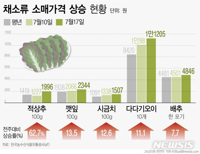 [서울=뉴시스] 18일 한국농수산식품유통공사(aT) 농산물유통정보에 따르면 적상추 상(上)품 100g 소매가격은 1996원으로 일주일 전보다 62.7% 상승했다. 긴 장마와 전국적인 집중호우로 농작물 침수피해가 잇따르면서 일부 채소류 가격이 큰 폭의 오름세를 보이고 있다. (그래픽=전진우 기자) 618tue@newsis.com