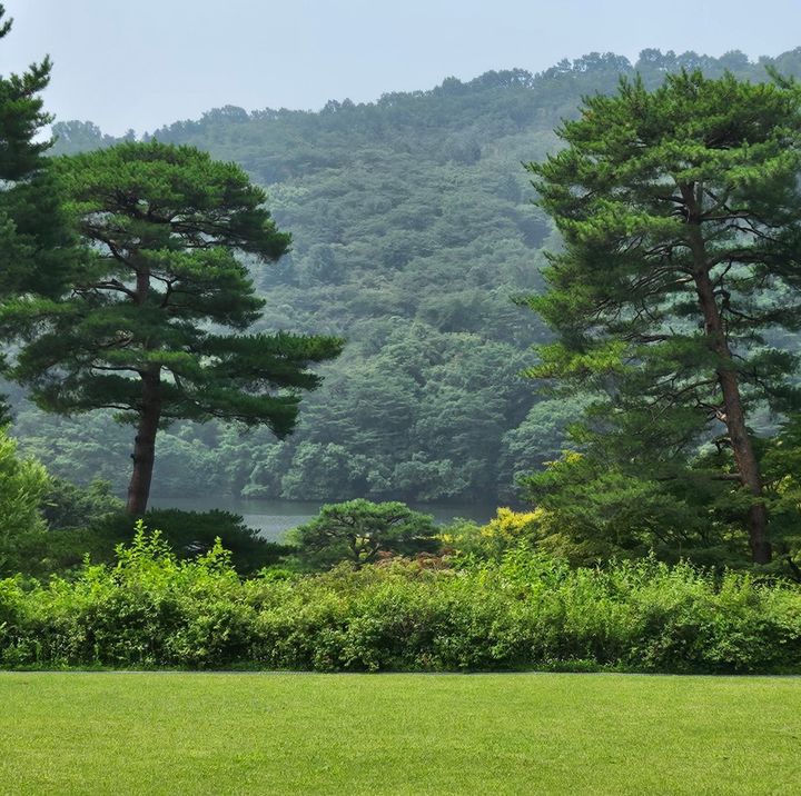 미술관 앞 양지바른 잔디밭(양대)에서 바라본 전경. 바로 아래 가까이 있는 정원은 보이지 않고, 멀리 호수가 손에 잡힐 듯 보인다. 사진=이한빛 *재판매 및 DB 금지