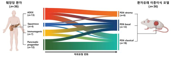 [수원=뉴시스] 연구 설명 이미지. (사진=아주대 제공)  *재판매 및 DB 금지