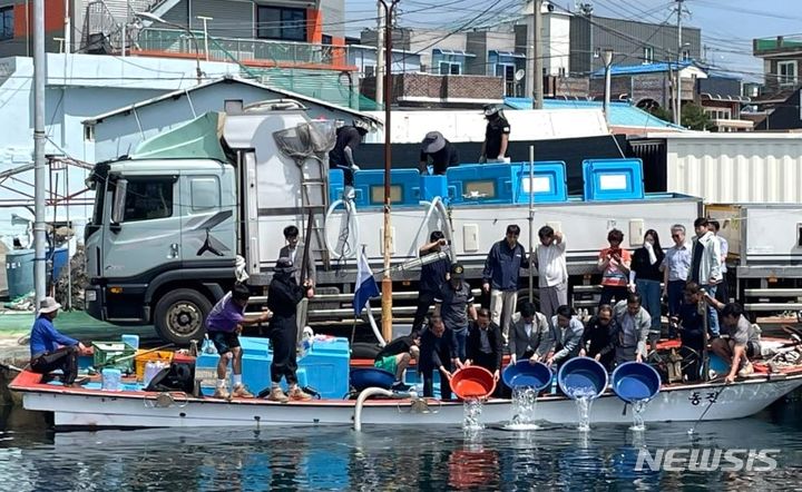 [포항=뉴시스] 송종욱 기자 = 지난 19일 경북 포항시 남구 구룡포읍 삼정3리 연안항 배 위에서 수산단체 대표와 어업인들이 조피볼락 33만 미를 방류하고 있다. (사진=포항시 제공) 2024.07.21. photo@newsis.com