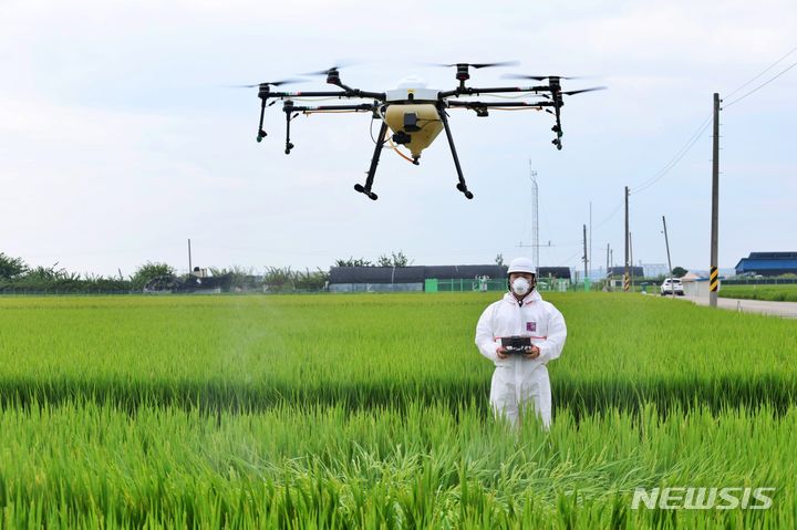 [익산=뉴시스] 김민수 기자= 전북농업기술원, 농업용 드론 방제 모습. *재판매 및 DB 금지