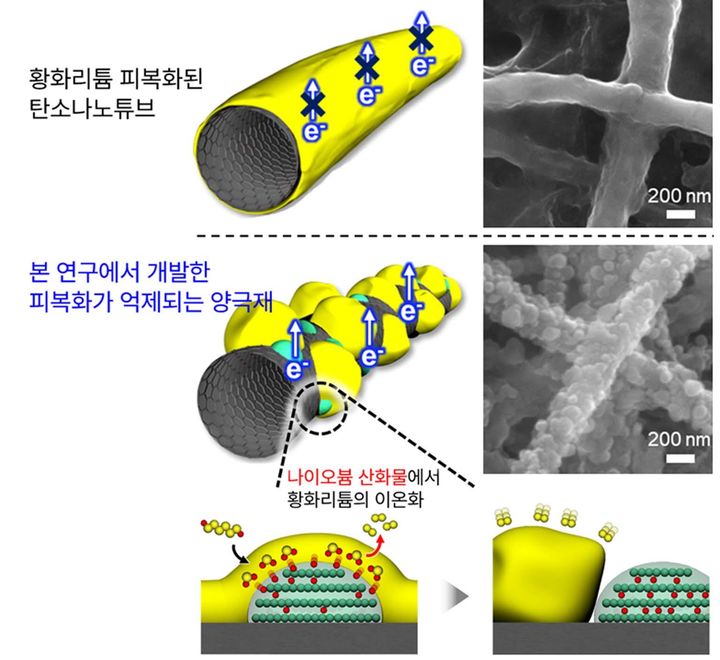 [서울=뉴시스] 연구팀이 개발한 리튬-황 전지 양극재 기술 (사진=고려대 제공) *재판매 및 DB 금지