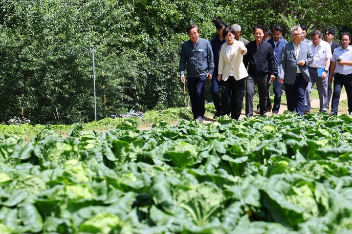 [서울=뉴시스] 송미령 농림축산식품부 장관이 26일 강원 평창군 대관령면 배추 재배 농가를 찾아 생육상황을 점검하고 있다. (사진=농림축산식품부 제공) 2024.07.26. photo@newsis.com *재판매 및 DB 금지