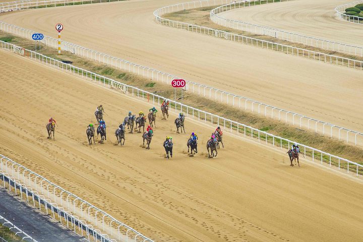 [부산=뉴시스] 렛츠런파크 부산경남의 경마 모습. (사진=렛츠런파크 부산경남 제공) *재판매 및 DB 금지